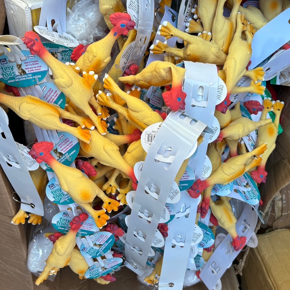 LOT OF 48 Vo-Toys Latex chicken dog toy 4" petite thin xs mini Votoys Xpet